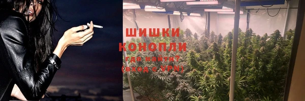 spice Алзамай
