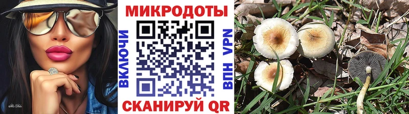 Галлюциногенные грибы GOLDEN TEACHER  что такое   Ростов-на-Дону 