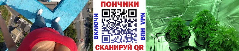 купить   Ростов-на-Дону  Конопля MAZAR 